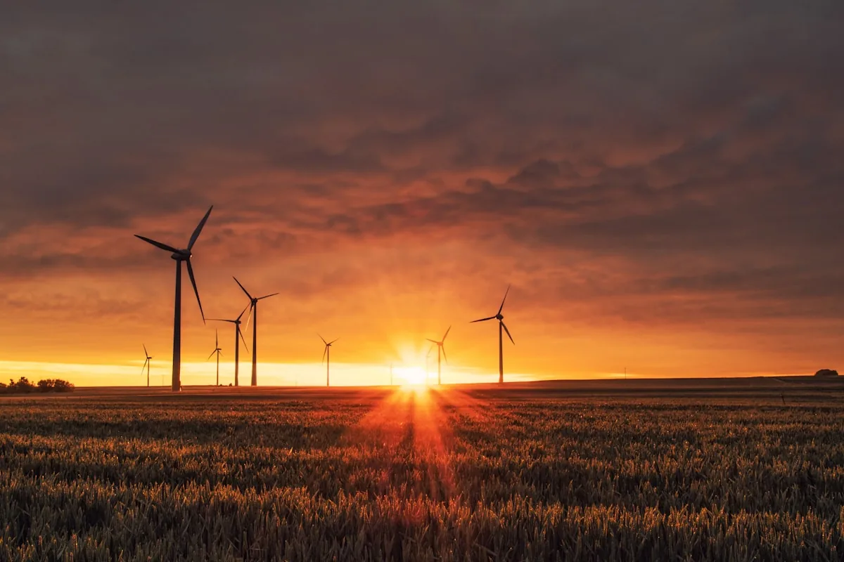 Comparaison batterie virtuelle et batterie lithium pour installation photovoltaïque résidentielle